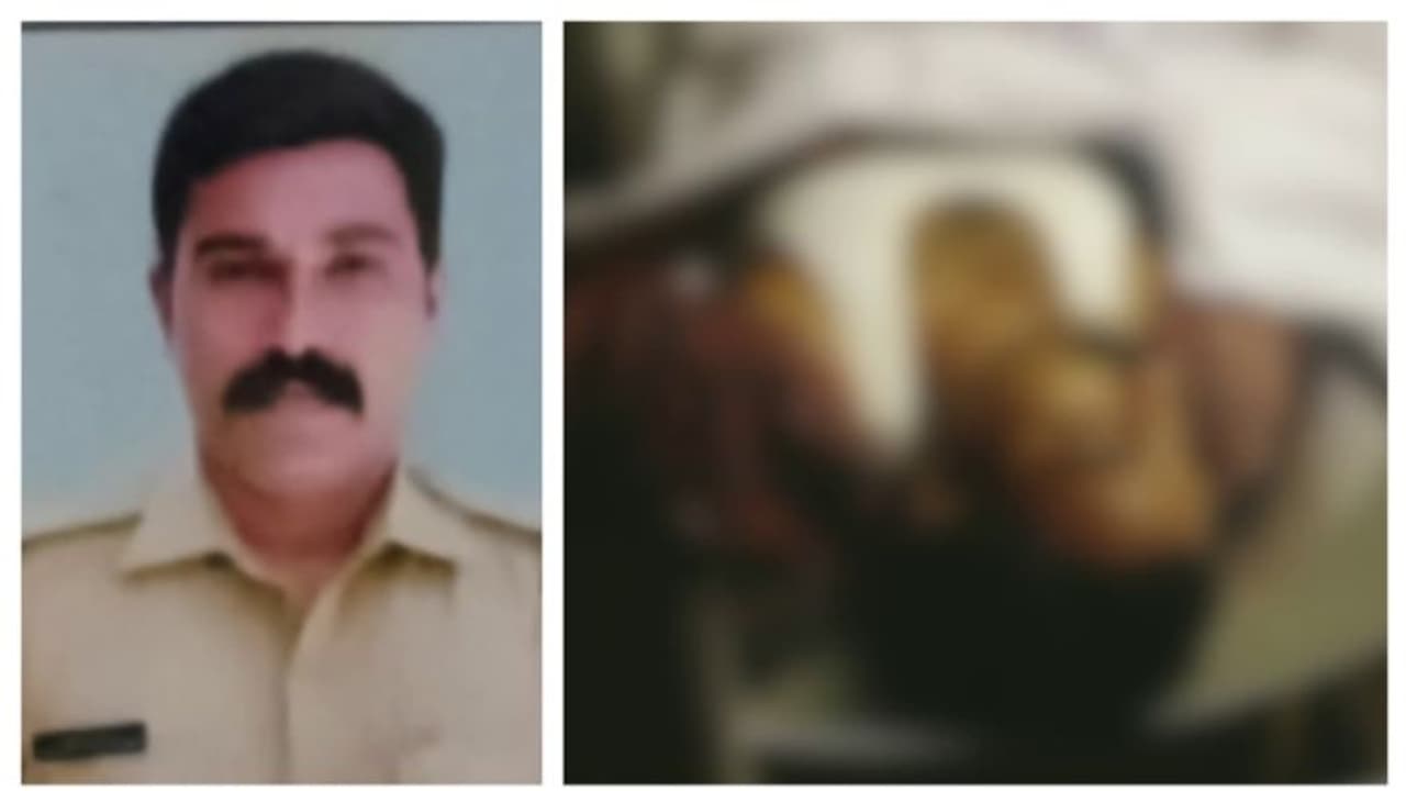 കായംകുളത്ത് വാഹനാപകടം, ജയില് ഉദ്യോഗസ്ഥന് ദാരുണാന്ത്യം കായംകുളത്ത് വാഹനാപകടം, ജയില് ഉദ്യോഗസ്ഥന് ദാരുണാന്ത്യം