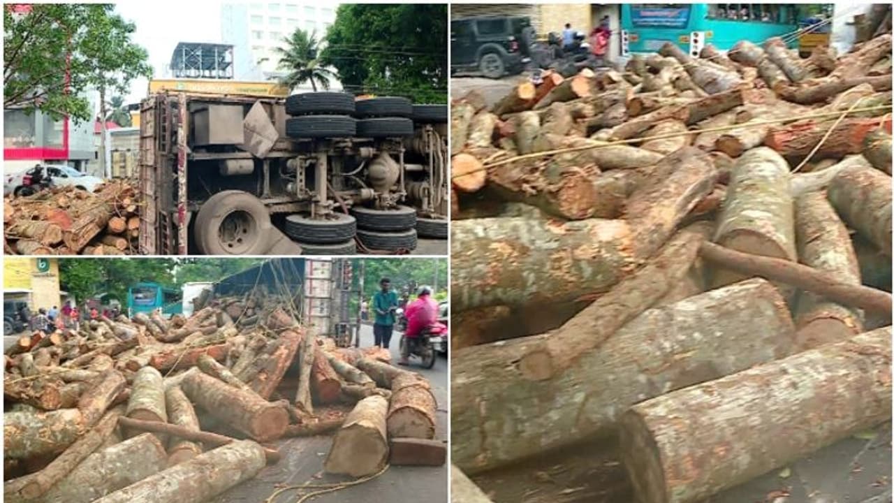 ദേശീയ പാതയിൽ തടി ലോറി മറിഞ്ഞു, റോഡിൽ തടിക്കഷ്ണങ്ങൾ, വൈറ്റില ഇടപ്പള്ളി റൂട്ടിൽ ഗതാഗത നിയന്ത്രണം ദേശീയ പാതയിൽ തടി ലോറി മറിഞ്ഞു, റോഡിൽ തടിക്കഷ്ണങ്ങൾ, വൈറ്റില ഇടപ്പള്ളി റൂട്ടിൽ ഗതാഗത നിയന്ത്രണം