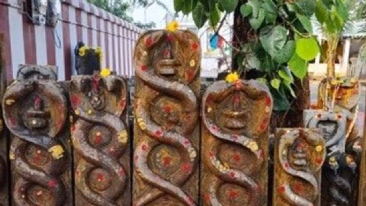 Kala Sarpa Dosha: ராகு கேது.. உங்க ஜாதகத்தில் கால சர்ப்ப தோஷம் இருக்கா? பரிகாரம் என்ன?