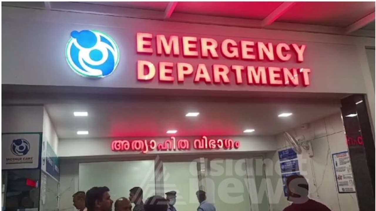 കാട്ടാനയെ കാട്ടിലേക്ക് കയറ്റാൻ ശ്രമിക്കുന്നതിനിടെ ആക്രമണം; വനംവകുപ്പ് ഉദ്യോഗസ്ഥന് പരിക്കേറ്റു