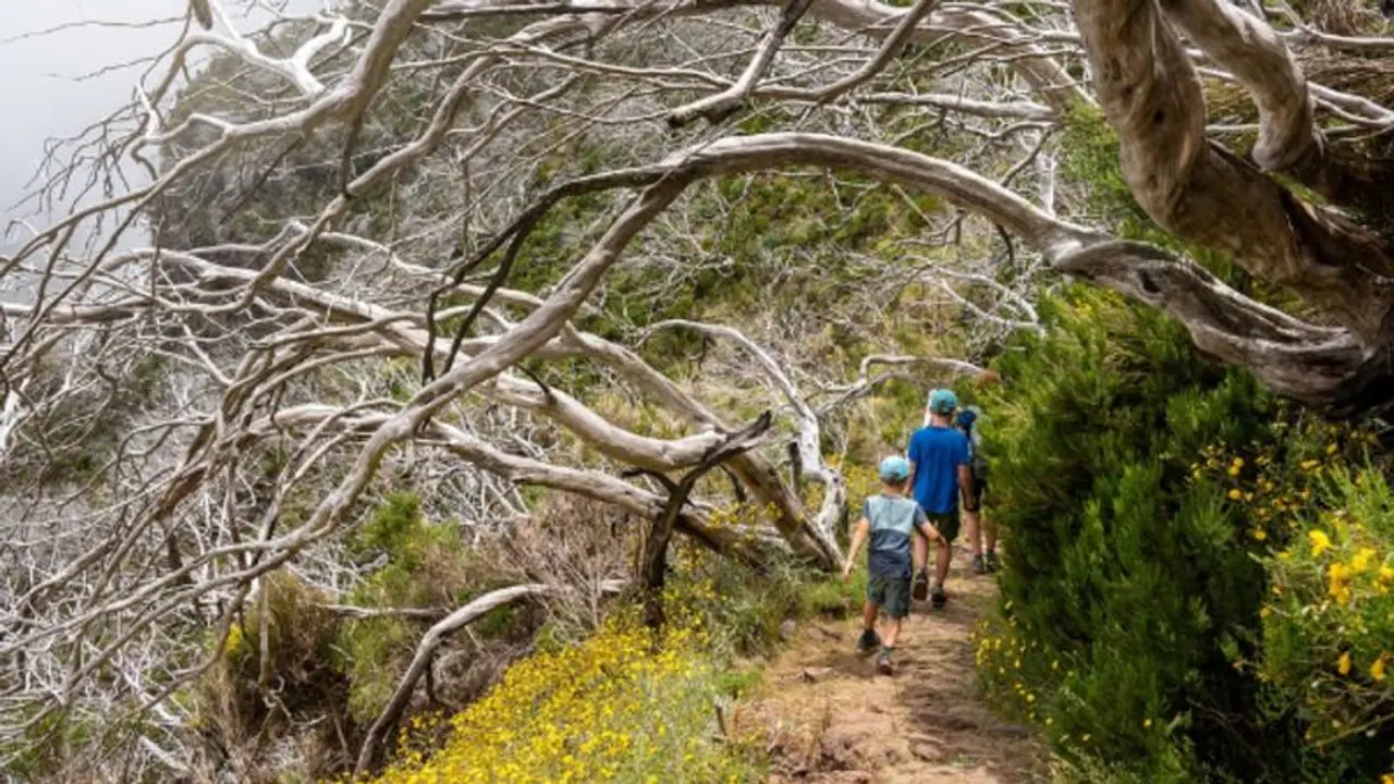 Essential Trekking Gear: 7 Items You Must Carry