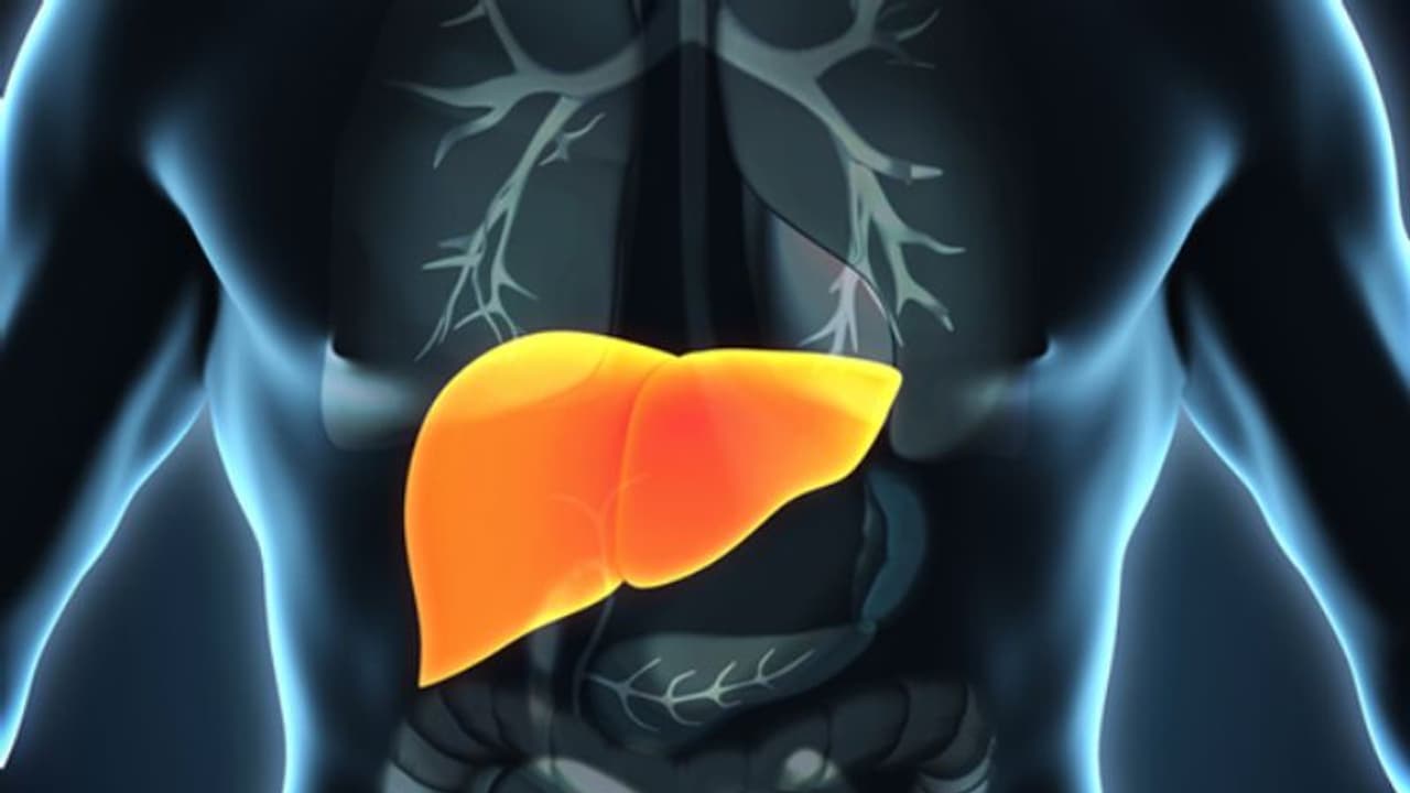 ഫാറ്റി ലിവര്‍ രോഗം; ഡയറ്റില്‍ ഉള്‍പ്പെടുത്തേണ്ട ഏഴ് ഭക്ഷണങ്ങള്‍