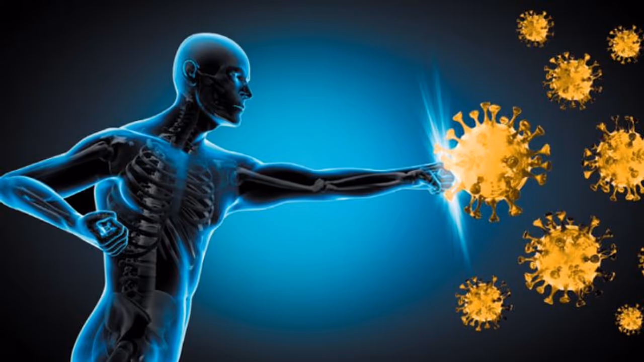 Health Tips : പ്രതിരോധശേഷി കൂട്ടിയാൽ രോഗങ്ങളെ അകറ്റാം ; ശ്രദ്ധിക്കാം നാല് കാര്യങ്ങൾ Health Tips : പ്രതിരോധശേഷി കൂട്ടിയാൽ രോഗങ്ങളെ അകറ്റാം ; ശ്രദ്ധിക്കാം നാല് കാര്യങ്ങൾ