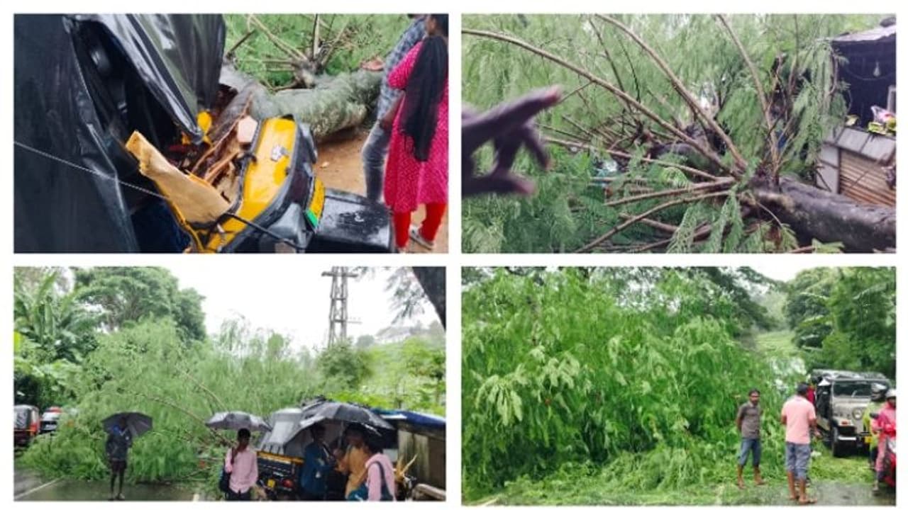 ഓട്ടോറിക്ഷക്ക് മുകളിലേക്ക് മരക്കൊമ്പൊടിഞ്ഞ് വീണു; രണ്ട് ബൈക്കുകൾക്കും കേടുപാട്, 4 പേർക്ക് പരിക്ക് ഓട്ടോറിക്ഷക്ക് മുകളിലേക്ക് മരക്കൊമ്പൊടിഞ്ഞ് വീണു; രണ്ട് ബൈക്കുകൾക്കും കേടുപാട്, 4 പേർക്ക് പരിക്ക്