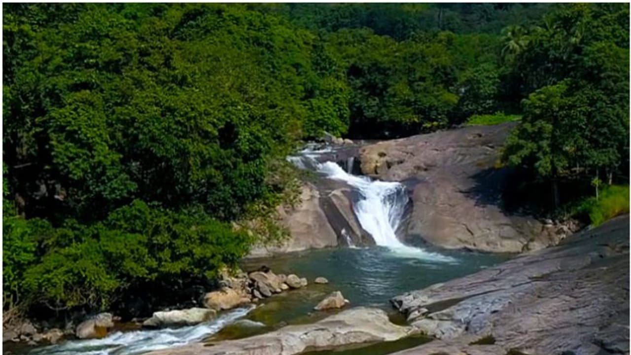 കനത്ത മഴ; നിലമ്പൂർ ആഢ്യൻപാറ പുഴക്കക്കരെ കുടുങ്ങിയ മൂന്നു പേരെയും രക്ഷപ്പെടുത്തി കനത്ത മഴ; നിലമ്പൂർ ആഢ്യൻപാറ പുഴക്കക്കരെ കുടുങ്ങിയ മൂന്നു പേരെയും രക്ഷപ്പെടുത്തി