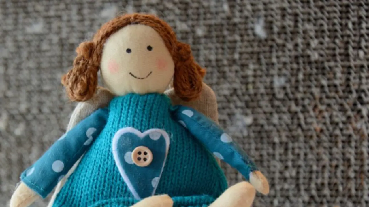 Success Story: Couple Thrives with Rs 75 Lakh from Rag Doll Business