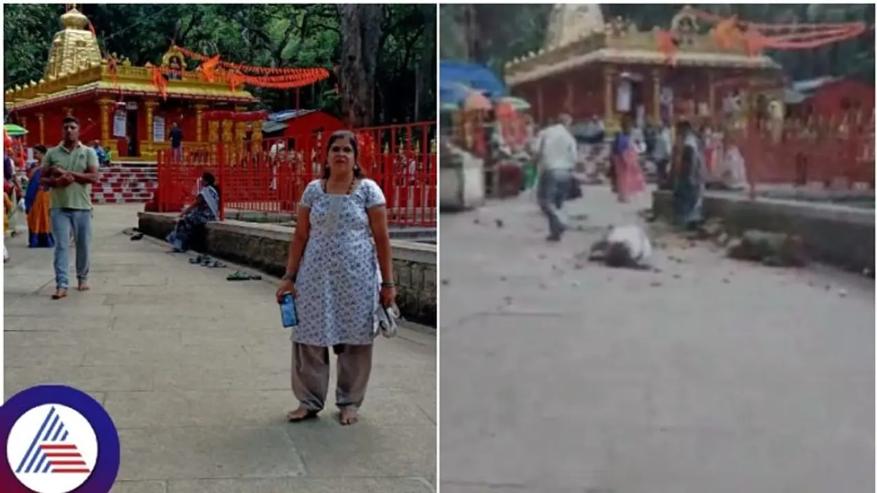 ತಿರುಪತಿ ತಿಮ್ಮಪ್ಪನ ದರ್ಶನಕ್ಕೆ ಹೋದ ಬೆಂಗಳೂರು ಮಹಿಳೆ ಮೇಲೆ ಬಿದ್ದ ಮರದ ಕೊಂಬೆ; ಗಂಭೀರ ಗಾಯ