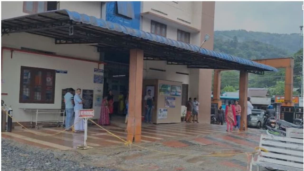 ഇടുക്കി അടിമാലിയിൽ മരം കടപുഴകി വീണു തോട്ടം തൊഴിലാളിയ്ക്ക് ദാരുണാന്ത്യം