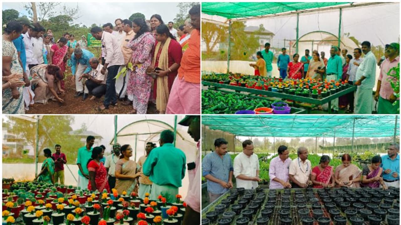 ആഹാ മനോഹരം! നെല്ലിയാമ്പതിയിൽ അടിച്ചു കേറി 'വിദേശി പഴം', 2023 ഏപ്രിലിൽ ഒന്നിച്ച് നട്ട 450 ഡ്രാഗൺ ഫ്രൂട്ട് വിളവ്