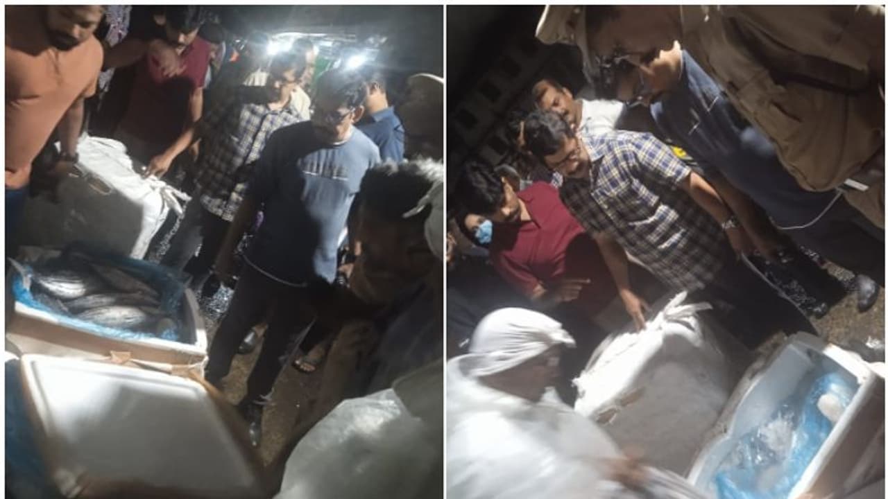 ഐസ് പോലുമില്ല, കൊണ്ടുവന്നതാകട്ടെ ചാക്കിൽ കെട്ടി! കോഴിക്കോട് റെയിൽവേ സ്റ്റേഷനിൽ 80 കിലോ എരുന്തും ചൂരയും പിടിയിൽ