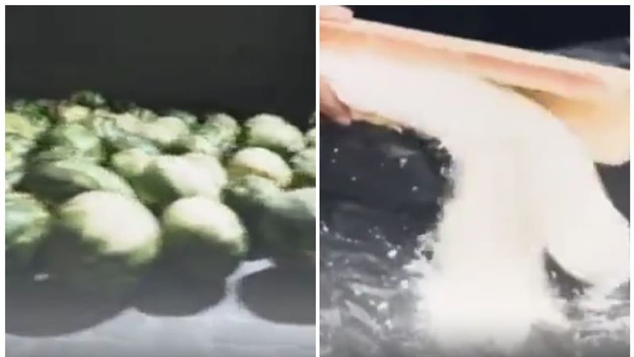 പോർട്ട് വഴിയെത്തിയ പെട്ടി, പലക പൊട്ടിച്ചപ്പോൾ നിറയെ വെള്ളപ്പൊടി; കടത്തിയത് കോടികൾ വിലയുള്ള ക്രിസ്റ്റൽമെത്ത്