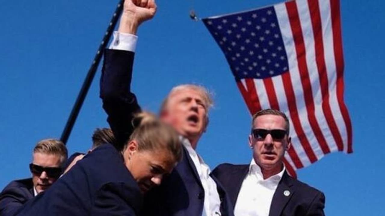 donald trump donald trump