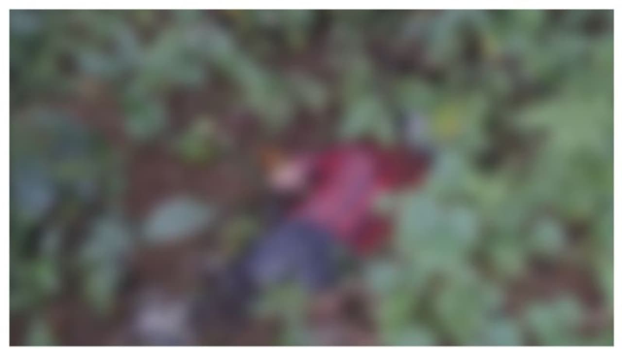 തിരുവമ്പാടിയിൽ റോഡരികിലെ കാനയിൽ യുവാവിന്റെ മൃതദേഹം; പൊലീസ് സ്ഥലത്ത് തിരുവമ്പാടിയിൽ റോഡരികിലെ കാനയിൽ യുവാവിന്റെ മൃതദേഹം; പൊലീസ് സ്ഥലത്ത്