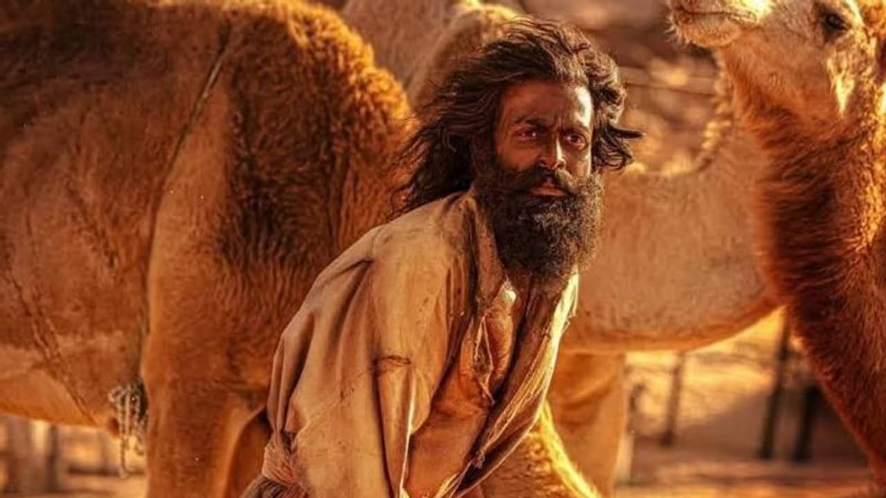 ആടുജീവിതം ഓസ്കർ പ്രഥമ പരിഗണനാ പട്ടികയില്, ഏറെ സന്തോഷം, വോട്ടിങ്ങിലും പ്രതീക്ഷയെന്ന് ബ്ലെസി ആടുജീവിതം ഓസ്കർ പ്രഥമ പരിഗണനാ പട്ടികയില്, ഏറെ സന്തോഷം, വോട്ടിങ്ങിലും പ്രതീക്ഷയെന്ന് ബ്ലെസി