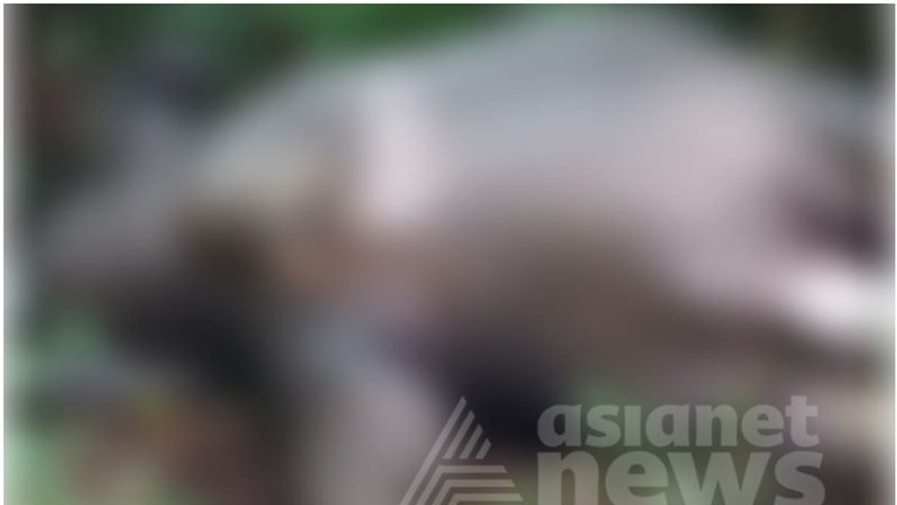 ദുർഗന്ധം വമിച്ചു, പ്രദേശവാസികളും വീട്ടുകാരും നടത്തിയ പരിശോധനയിൽ കണ്ടെത്തിയത് കാട്ടാനയുടെ ജഡം ദുർഗന്ധം വമിച്ചു, പ്രദേശവാസികളും വീട്ടുകാരും നടത്തിയ പരിശോധനയിൽ കണ്ടെത്തിയത് കാട്ടാനയുടെ ജഡം