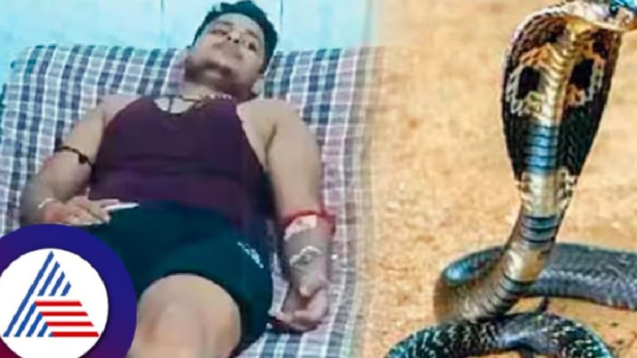 40 ದಿನದಲ್ಲಿ ಪ್ರತಿ ಶನಿವಾರವೇ ಯುವಕನಿಗೆ 7 ಸಲ ಕಚ್ಚಿದ ಹಾವು; ಚಿಕಿತ್ಸೆ ನೀಡುತ್ತಿರುವ ವೈದ್ಯರೇ ಶಾಕ್!