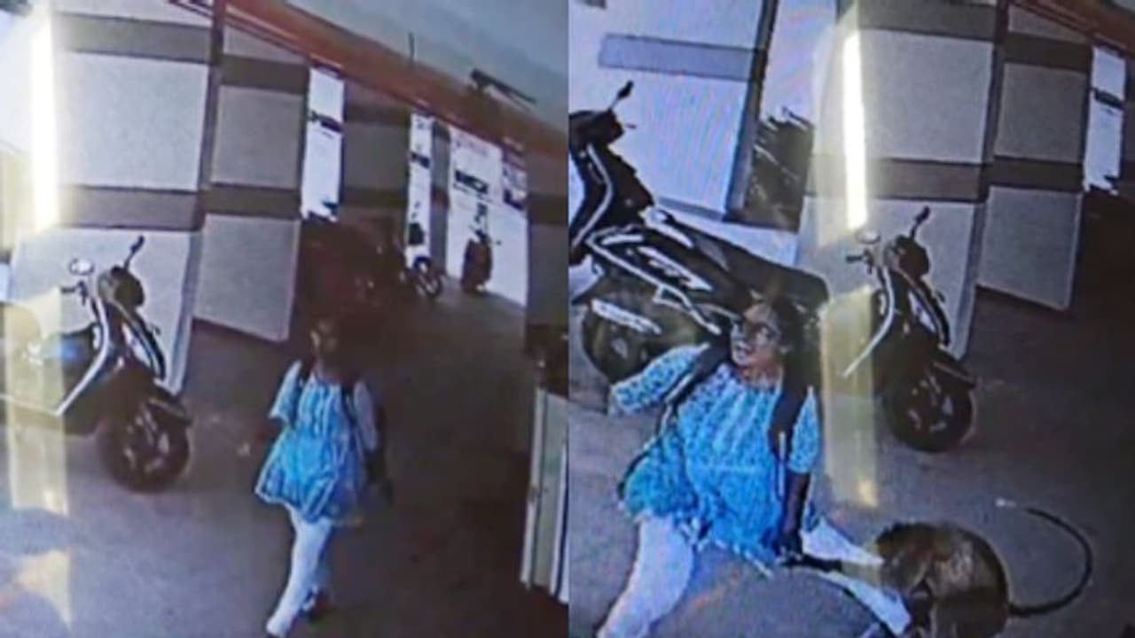 WATCH: Viral Video Shows Monkey Attacking Girl in Basement, Raising Online Safety Concerns