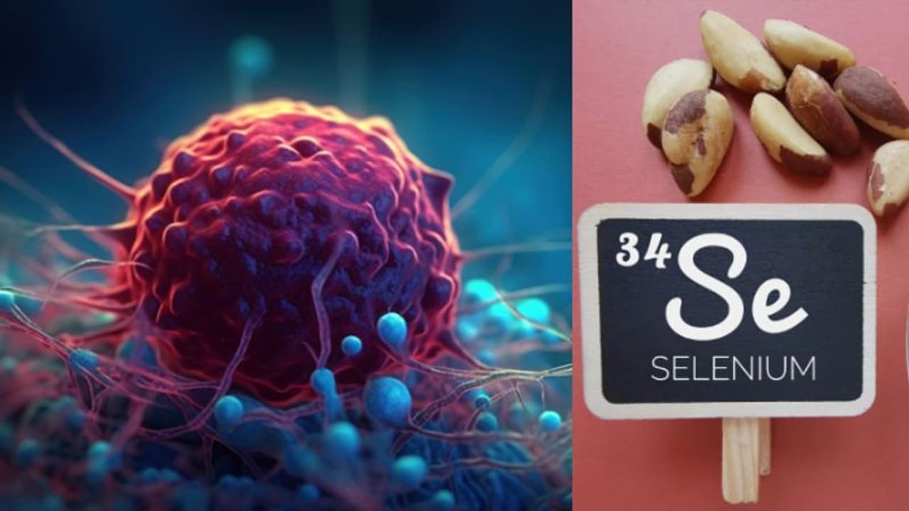 ക്യാന്സര് സാധ്യത കുറയ്ക്കാന് സഹായിക്കുന്ന സെലീനിയം അടങ്ങിയ ഒമ്പത് ഭക്ഷണങ്ങള് ക്യാന്സര് സാധ്യത കുറയ്ക്കാന് സഹായിക്കുന്ന സെലീനിയം അടങ്ങിയ ഒമ്പത് ഭക്ഷണങ്ങള്