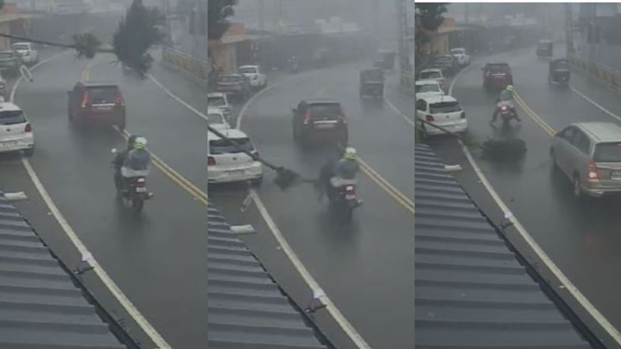 മുന്നിലും പിന്നിലും കാറുകൾ, റോഡിലേക്ക് കടപുഴകി വീണ് കവുങ്ങ് മരം; റാന്നിയിൽ ബൈക്ക് യാത്രികന് തലനാരിഴക്ക് രക്ഷ! മുന്നിലും പിന്നിലും കാറുകൾ, റോഡിലേക്ക് കടപുഴകി വീണ് കവുങ്ങ് മരം; റാന്നിയിൽ ബൈക്ക് യാത്രികന് തലനാരിഴക്ക് രക്ഷ!