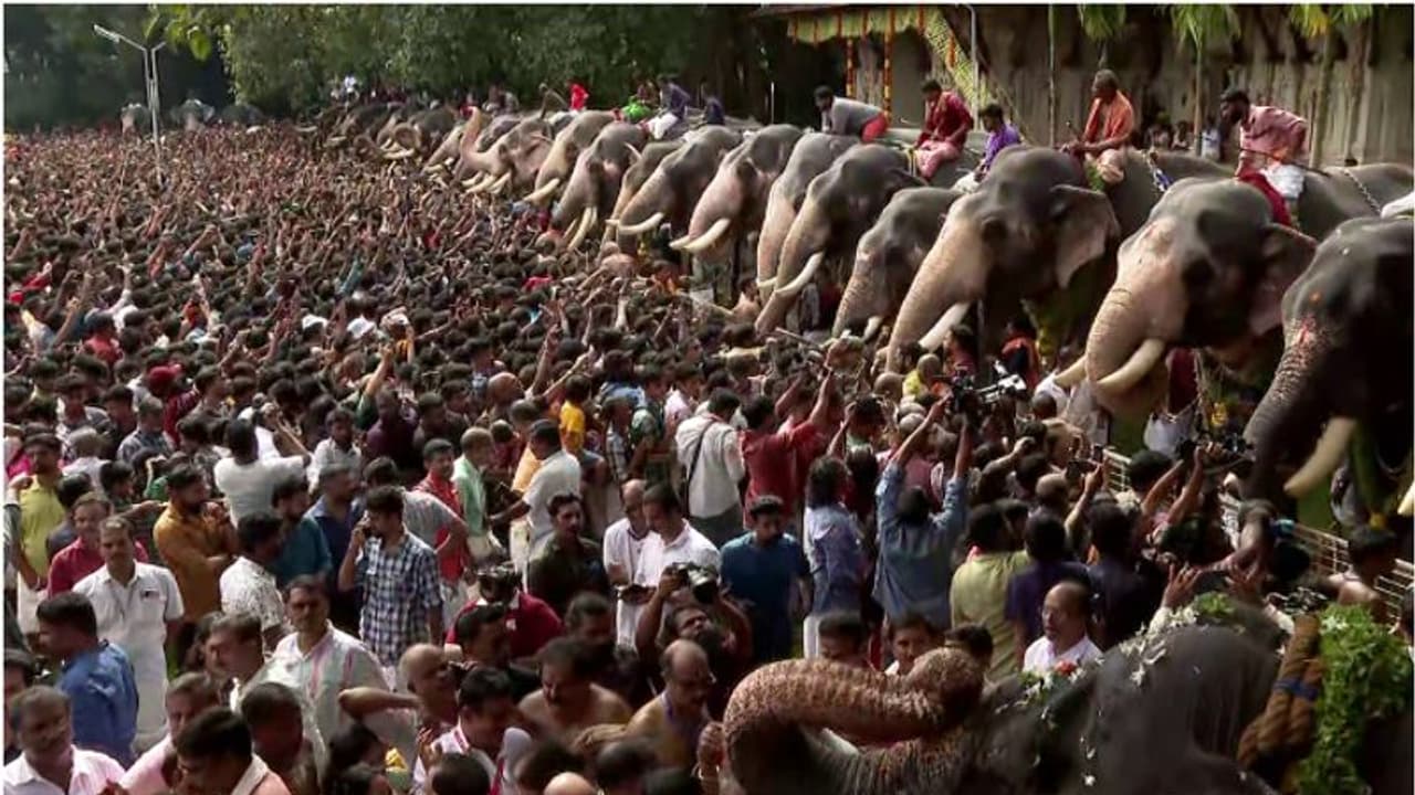 ചരിത്രം കുറിക്കാൻ തൃശൂർ വടക്കുംനാഥ ക്ഷേത്രം: ഒന്നും രണ്ടുമല്ല, 15 പിടിയാനകളടക്കം 70 ആനകൾക്ക് നാളെ ആനയൂട്ട് 