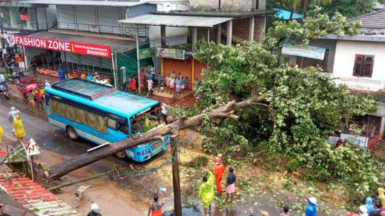 മലപ്പുറത്ത് ഓടുന്ന ബസിന് മുകളിൽ വലിയ മരം വീണു, തലനാരിഴയ്ക്ക് ഒഴിവായത് വൻ ദുരന്തം, കണ്ടക്ടർക്ക് പരിക്ക്