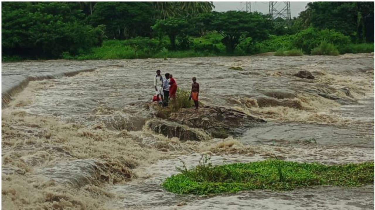 ചിറ്റൂരിൽ പുഴയിൽ കുളിക്കാനിറങ്ങിയ നാലു പേർ കുടുങ്ങി; മന്ത്രിയും സംഘവും സ്ഥലത്ത്, രക്ഷാപ്രവർത്തനം തുടങ്ങി ചിറ്റൂരിൽ പുഴയിൽ കുളിക്കാനിറങ്ങിയ നാലു പേർ കുടുങ്ങി; മന്ത്രിയും സംഘവും സ്ഥലത്ത്, രക്ഷാപ്രവർത്തനം തുടങ്ങി