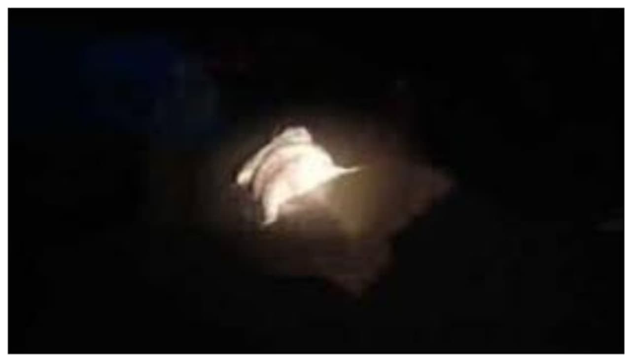 ಕುಕ್ಕೆ ಸುಬ್ರಹ್ಮಣ್ಯದಲ್ಲಿ ವಿಪರೀತ ಮಳೆ, ಕುಮಾರಧಾರ ನದಿಯಲ್ಲಿ ತೇಲಿಬಂದ ಆನೆಯ ಮೃತದೇಹ! ಕುಕ್ಕೆ ಸುಬ್ರಹ್ಮಣ್ಯದಲ್ಲಿ ವಿಪರೀತ ಮಳೆ, ಕುಮಾರಧಾರ ನದಿಯಲ್ಲಿ ತೇಲಿಬಂದ ಆನೆಯ ಮೃತದೇಹ!