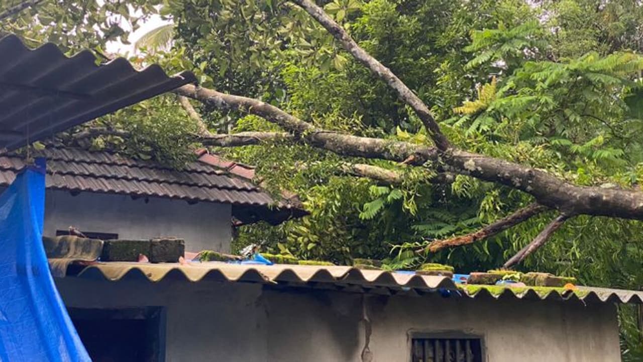 മരം വീണു വീട് തകർന്നു; ഉറങ്ങിക്കിടന്ന പിഞ്ചുകുട്ടികൾ ഉൾപ്പെടെയുള്ളവർ അത്ഭുതകരമായി രക്ഷപ്പെട്ടു മരം വീണു വീട് തകർന്നു; ഉറങ്ങിക്കിടന്ന പിഞ്ചുകുട്ടികൾ ഉൾപ്പെടെയുള്ളവർ അത്ഭുതകരമായി രക്ഷപ്പെട്ടു