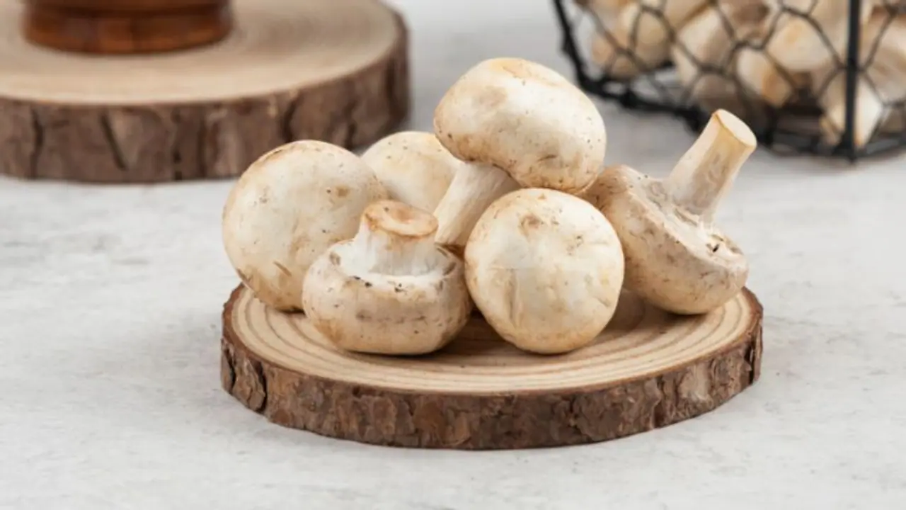 ഡയറ്റില് മഷ്റൂം ഉള്പ്പെടുത്തൂ; അറിയാം ഗുണങ്ങള് ഡയറ്റില് മഷ്റൂം ഉള്പ്പെടുത്തൂ; അറിയാം ഗുണങ്ങള്