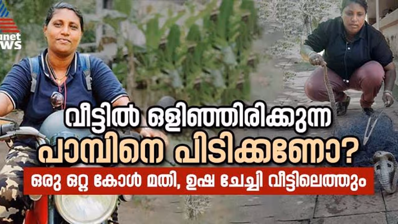World Snake Day 2024 : രണ്ട് വയസുകാരിയെ രക്ഷിച്ച ആ ദിവസം മറക്കാനാവില്ല ; ഉഷ തിരൂരിന്റെ വിജയകഥ World Snake Day 2024 : രണ്ട് വയസുകാരിയെ രക്ഷിച്ച ആ ദിവസം മറക്കാനാവില്ല ; ഉഷ തിരൂരിന്റെ വിജയകഥ