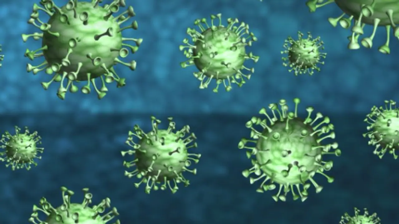 Six Children Die Over Five Days Amid Suspected Chandipura Virus Outbreak in Indian State 