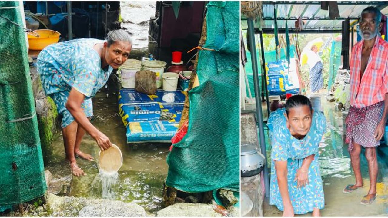 മഴ പെയ്താൽ വീടിന് ചുറ്റും വെള്ളക്കെട്ട്, തൃശൂരിൽ ദുരിതത്തിലായി വൃദ്ധ ദമ്പതികൾ മഴ പെയ്താൽ വീടിന് ചുറ്റും വെള്ളക്കെട്ട്, തൃശൂരിൽ ദുരിതത്തിലായി വൃദ്ധ ദമ്പതികൾ