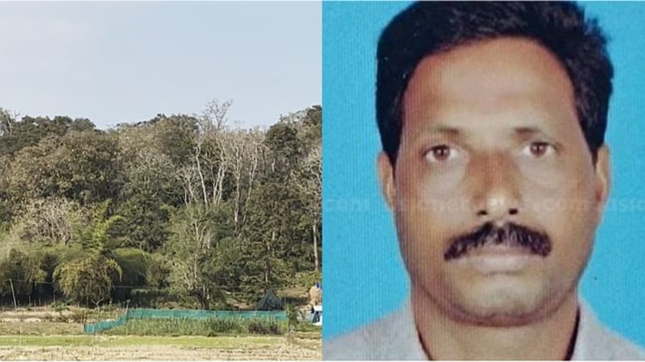 വയനാട്ടിൽ മൃഗങ്ങളുടെ കാടിറക്കത്തിന് ഇനിയും പരിഹാരമില്ല; ഈ വർഷം കാട്ടാന ആക്രമണത്തിൽ പൊലിഞ്ഞത് നാലാമത്തെ ജീവന് വയനാട്ടിൽ മൃഗങ്ങളുടെ കാടിറക്കത്തിന് ഇനിയും പരിഹാരമില്ല; ഈ വർഷം കാട്ടാന ആക്രമണത്തിൽ പൊലിഞ്ഞത് നാലാമത്തെ ജീവന്
