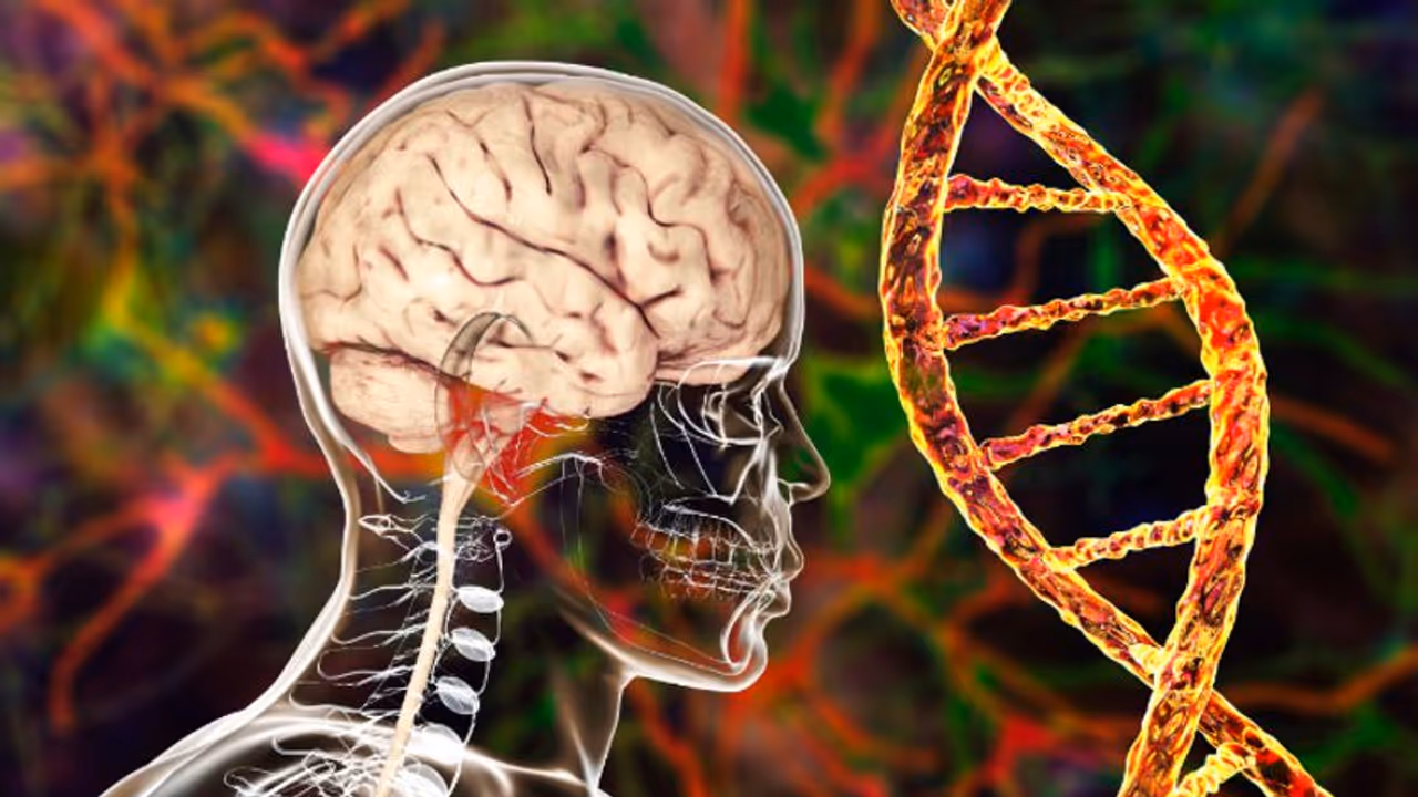 എന്താണ് ഡിമെന്ഷ്യ? തിരിച്ചറിയാം ഈ ലക്ഷണങ്ങളെ... എന്താണ് ഡിമെന്ഷ്യ? തിരിച്ചറിയാം ഈ ലക്ഷണങ്ങളെ...