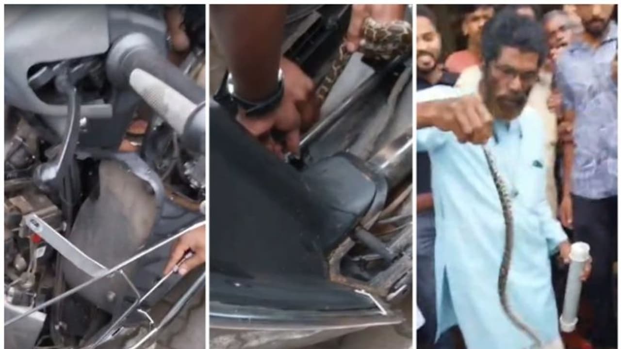 സ്കൂട്ടർ നിർത്തി കടയിൽ കയറി, തിരിച്ചെത്തി ഹെൽമെറ്റ് എടുക്കാൻ ഡിക്കി തുറന്നപ്പോൾ അകത്ത് പെരുമ്പാമ്പിന്റെ കുഞ്ഞ്