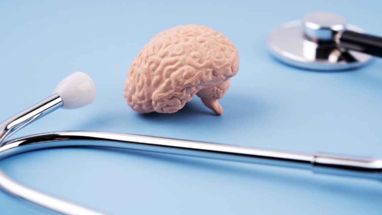 Health Tips: തലച്ചോറിന്‍റെ ആരോഗ്യത്തിനായി പതിവായി കഴിക്കേണ്ട എട്ട് ഭക്ഷണങ്ങള്‍