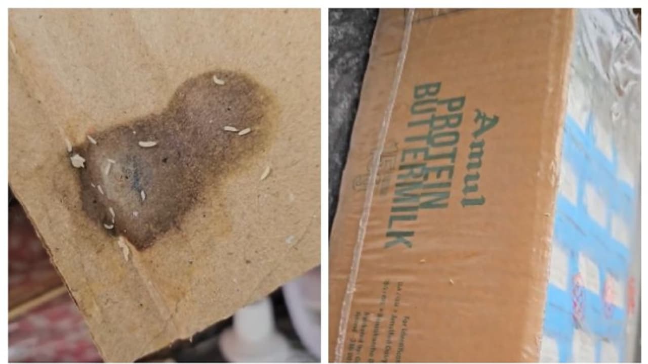 അമൂലിന്‍റെ മോര് പാക്കറ്റിനൊപ്പം നുരയ്ക്കുന്ന പുഴുക്കളും; വീഡിയോ പങ്കുവച്ച് യുവാവ് 