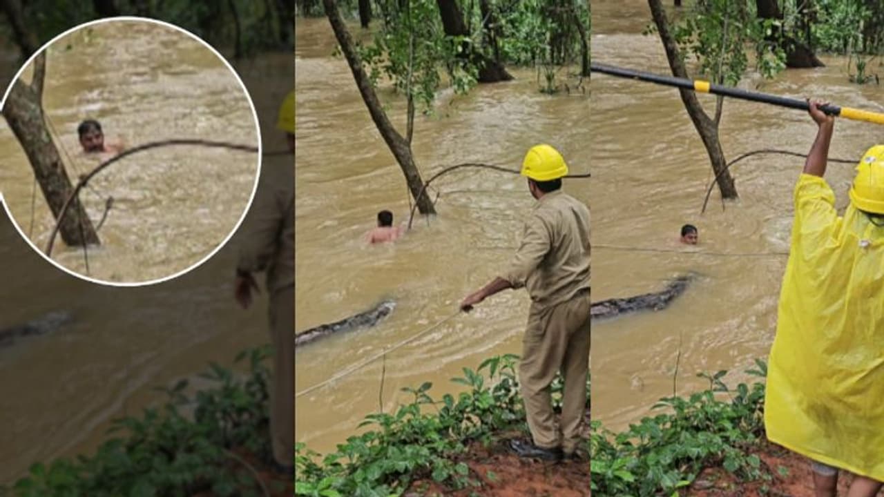 അതിസാഹസിക ശ്രമം, രക്ഷകനായി കെഎസ്ഇബി ലൈൻമാൻ; കുത്തിയൊലിക്കുന്ന തോട്ടിലിറങ്ങി പൊട്ടിവീണ വൈദ്യുത കമ്പി മാറ്റി