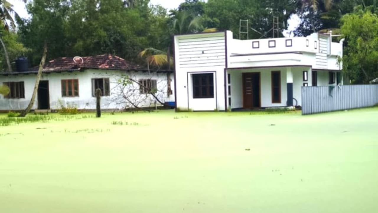 അമ്പലപ്പുഴ ഇരട്ടക്കുളങ്ങരയിൽ വെള്ളക്കെട്ടിൽ വലഞ്ഞ് പതിനഞ്ചോളം കുടുംബങ്ങള്‍