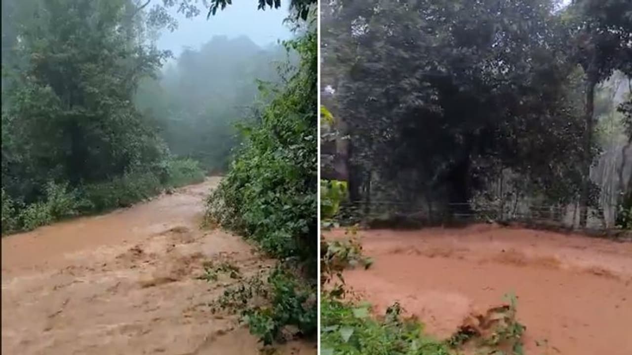 IMD issues red alert: Heavy rains to lash Gujarat and THESE states; check details