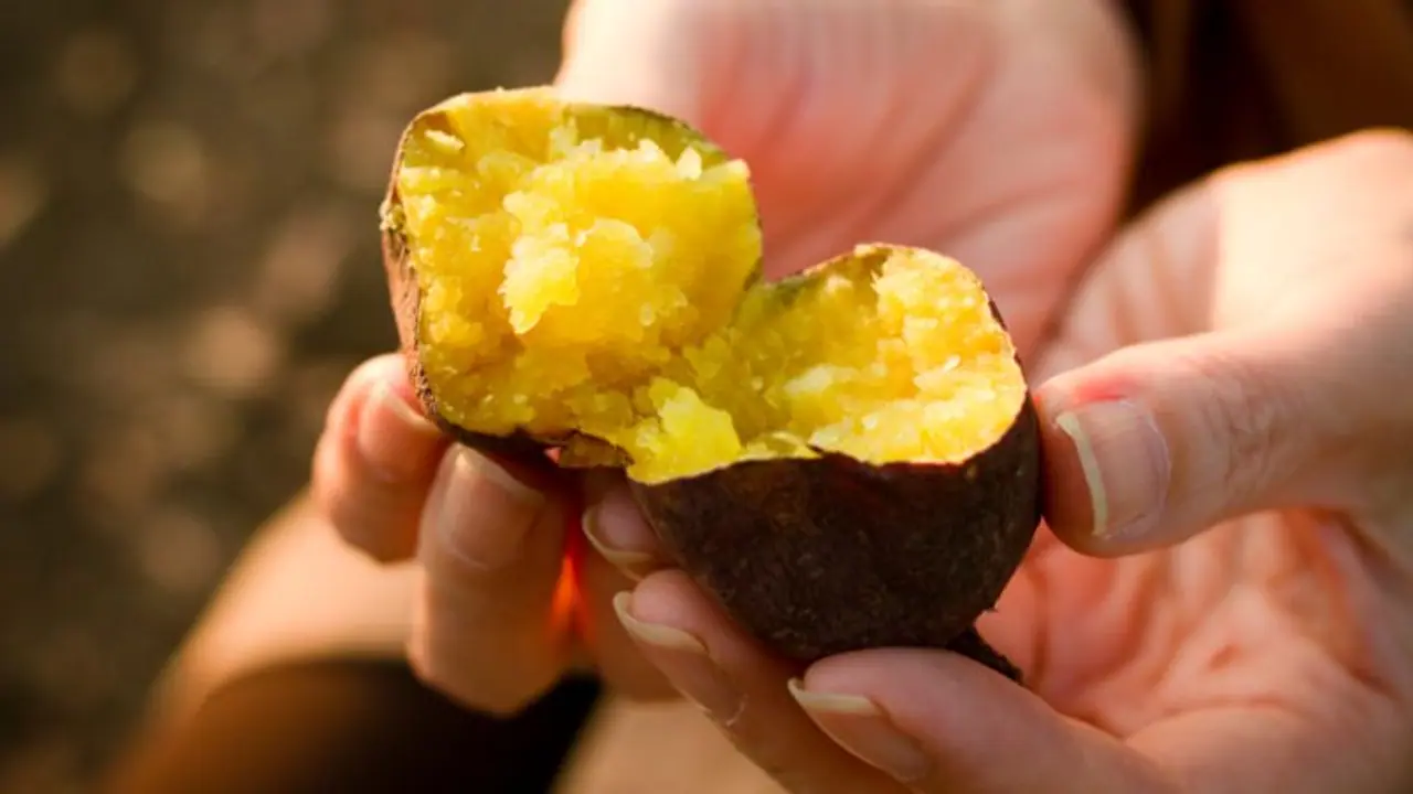 Sweet Potato Sweet Potato