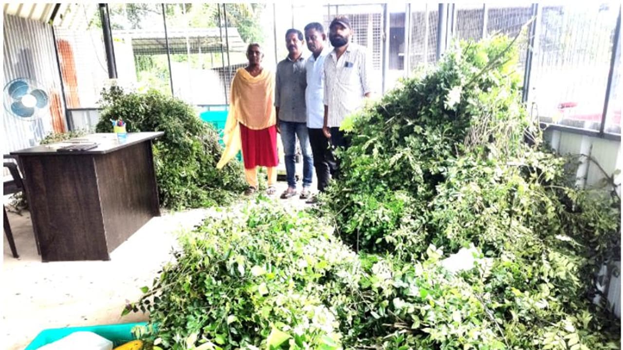 നമ്മുടെ കറികളുടെ രുചിയേറ്റുന്ന 'രഹസ്യം' വിദേശത്തേക്ക്; ആദ്യം 500 കിലോ, പിന്നെ ആഴ്ചയിൽ 2 തവണ കയറ്റുമതി ചെയ്യും 