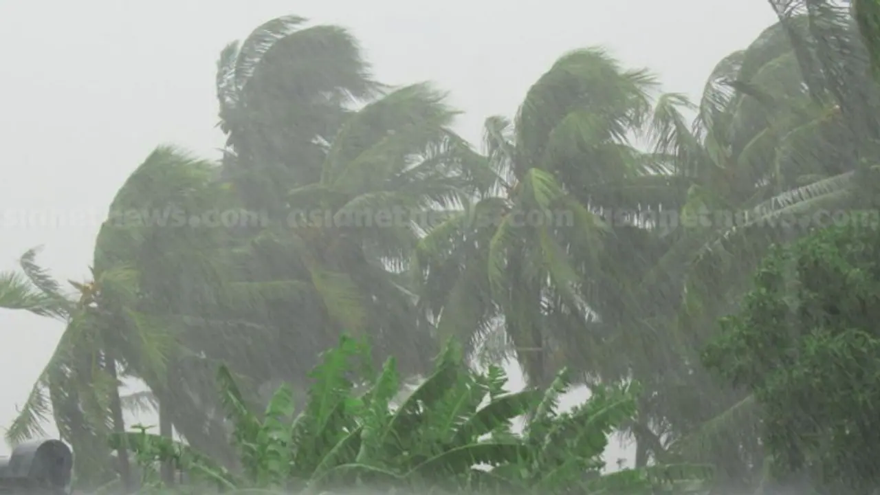 വടക്കൻ കേരളത്തിൽ മഴ കനക്കും; 3 ജില്ലകളിൽ യെല്ലോ അലർട്ട്, തീര പ്രദേശങ്ങളിൽ ജാഗ്രത വേണമെന്നും റിപ്പോർട്ട്