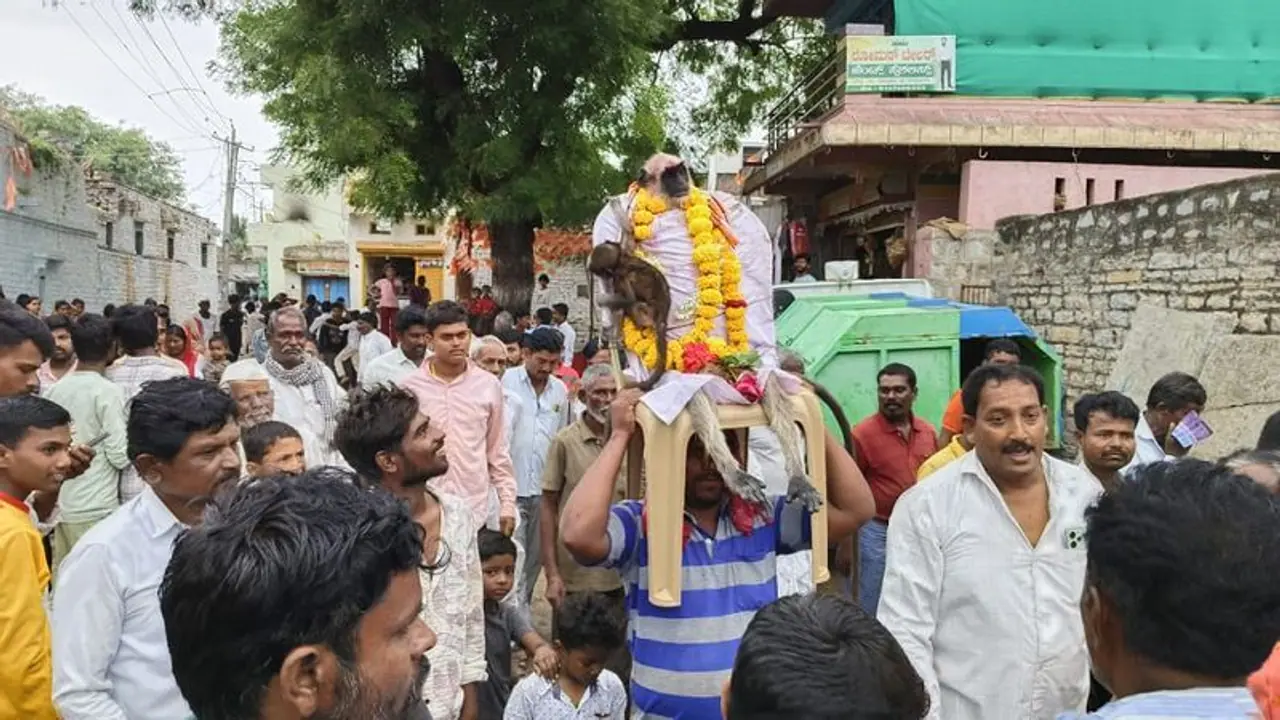 ಕಲಬುರಗಿ: ಹಿಂದು ಸಂಪ್ರದಾಯದಂತೆ ಮಂಗನ ಅಂತಿಮ ಸಂಸ್ಕಾರ ನಡೆಸಿದ ಗ್ರಾಮಸ್ಥರು ಕಲಬುರಗಿ: ಹಿಂದು ಸಂಪ್ರದಾಯದಂತೆ ಮಂಗನ ಅಂತಿಮ ಸಂಸ್ಕಾರ ನಡೆಸಿದ ಗ್ರಾಮಸ್ಥರು