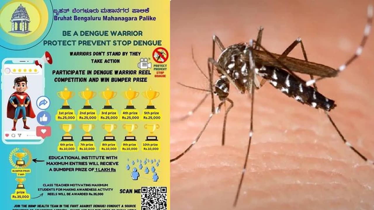 ರೀಲ್ಸ್ ಪ್ರಿಯರಿಗೆ ಬಿಬಿಎಂಪಿ ಭರ್ಜರಿ ಆಫರ್: ಡೆಂಘೀ ಬಗ್ಗೆ ರೀಲ್ಸ್ ಮಾಡಿ ಲಕ್ಷ ಬಹುಮಾನ ಗೆಲ್ಲಿ! ರೀಲ್ಸ್ ಪ್ರಿಯರಿಗೆ ಬಿಬಿಎಂಪಿ ಭರ್ಜರಿ ಆಫರ್: ಡೆಂಘೀ ಬಗ್ಗೆ ರೀಲ್ಸ್ ಮಾಡಿ ಲಕ್ಷ ಬಹುಮಾನ ಗೆಲ್ಲಿ!