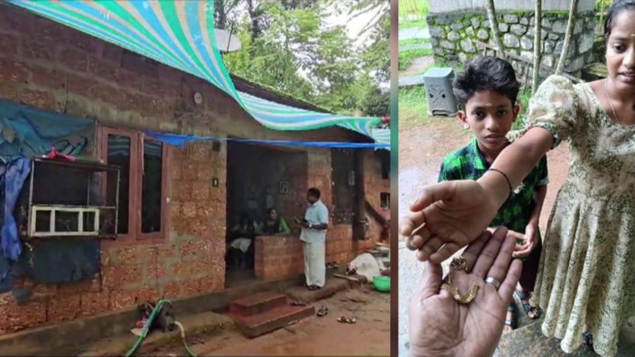 പത്തരമാറ്റ് സ്വർണത്തേക്കാൾ തിളക്കം ഈ സത്യസന്ധതയ്ക്ക്, മാതൃകയായി ഈ സഹോദരങ്ങൾ പത്തരമാറ്റ് സ്വർണത്തേക്കാൾ തിളക്കം ഈ സത്യസന്ധതയ്ക്ക്, മാതൃകയായി ഈ സഹോദരങ്ങൾ