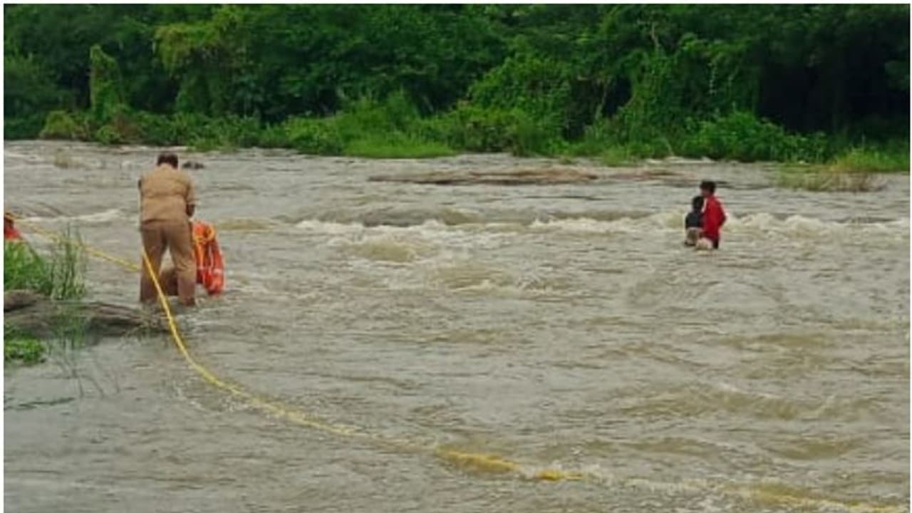 ചിറ്റൂർ പുഴയിൽ കുടുങ്ങി 2 കുട്ടികൾ; രക്ഷകരായി ഫയർഫോഴ്സ്, കരയ്ക്കെത്തിച്ചത് അതിസാഹസികമായി ചിറ്റൂർ പുഴയിൽ കുടുങ്ങി 2 കുട്ടികൾ; രക്ഷകരായി ഫയർഫോഴ്സ്, കരയ്ക്കെത്തിച്ചത് അതിസാഹസികമായി