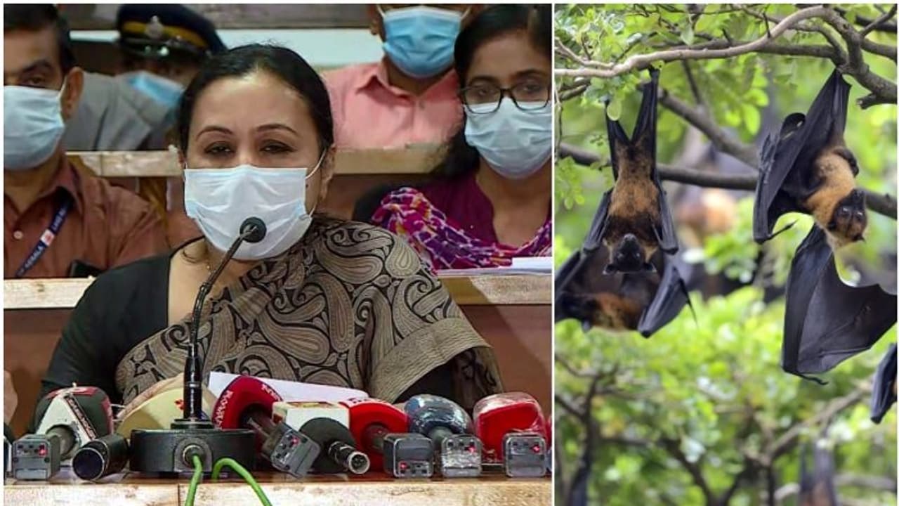 Nipah virus confirmed in Kerala after 14 year old from Malappuram tests positive 