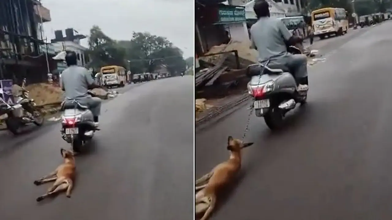 ಉಡುಪಿಯಲ್ಲಿ ಸ್ಕೂಟರ್‌ಗೆ ನಾಯಿ ಕಟ್ಟಿ ದರದರನೆ ಎಳೆದೊಯ್ದು ವಿಕೃತಿ, ಭಾರಿ ಆಕ್ರೋಶ!