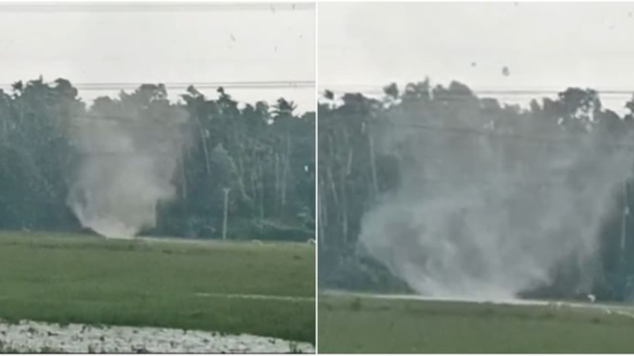 തൃശൂരിലെ നന്തിപുരത്ത് മിന്നൽ ചുഴലി; നിരവധി വൻമരങ്ങൾ കടപുഴകി, വൈദ്യുതി ലൈനുകൾ തകർന്നു